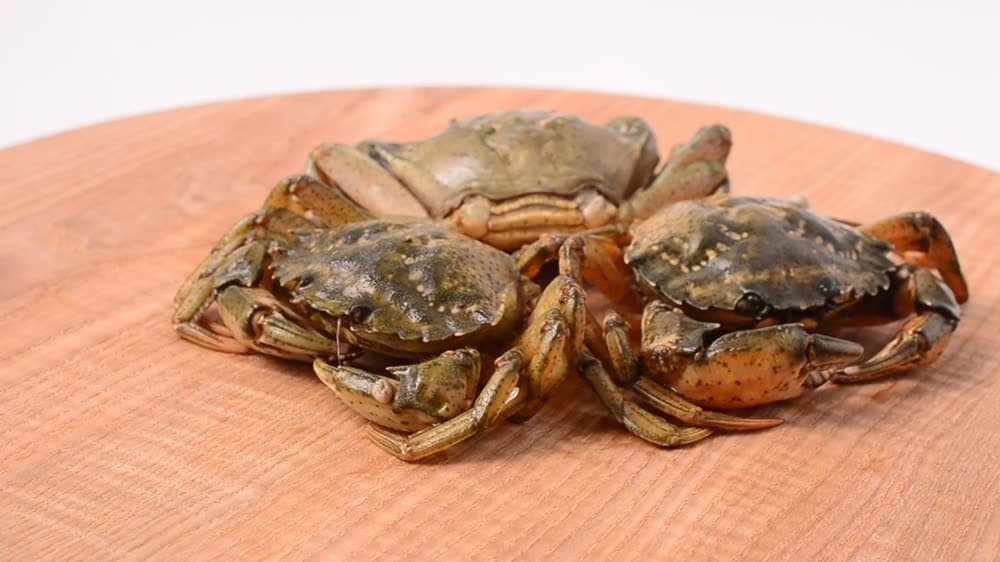 Flower crab, fresh in